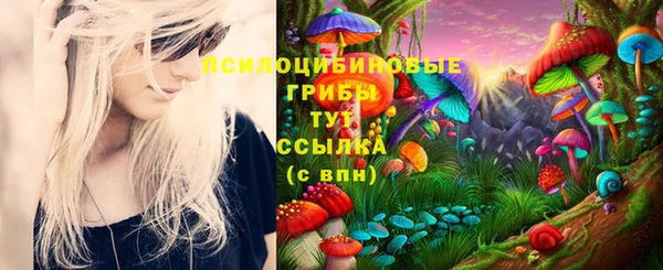 молекула духа Волосово