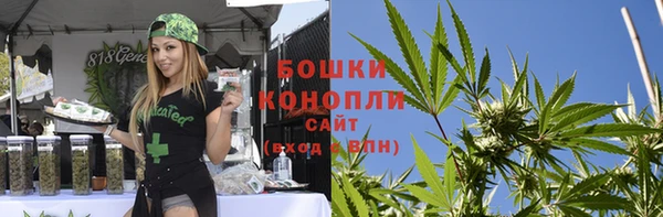 молекула духа Волосово