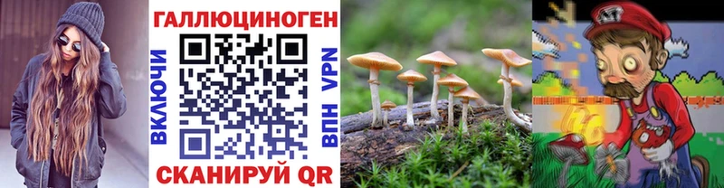 наркотики Галич Галлюциногенные грибы прущие грибы